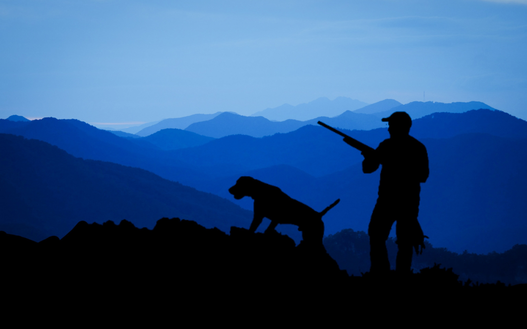 The Hunter’s Best Friend: A Guide to Selecting and Training Hunting Dog Breeds